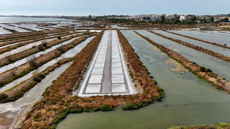 Alianza Marismas Guadalquivir-Doñana: la gestión humana recobra el esplendor de las marismas como socioecosistemas y oasis de biodiversidad